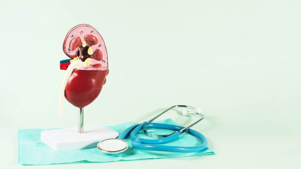 Patient consulting a doctor at a Kidney specialist hospital for kidney health checkup